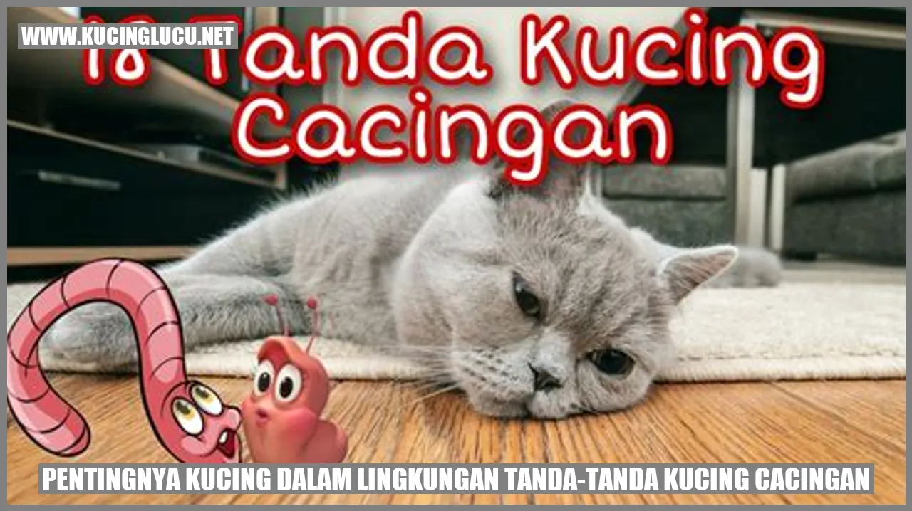 Kucing dalam Lingkungan