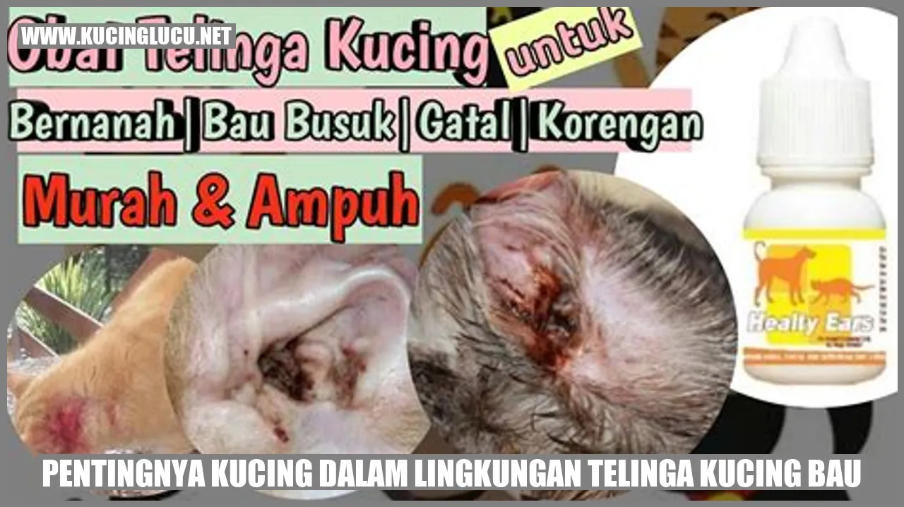 Kucing dalam Lingkungan