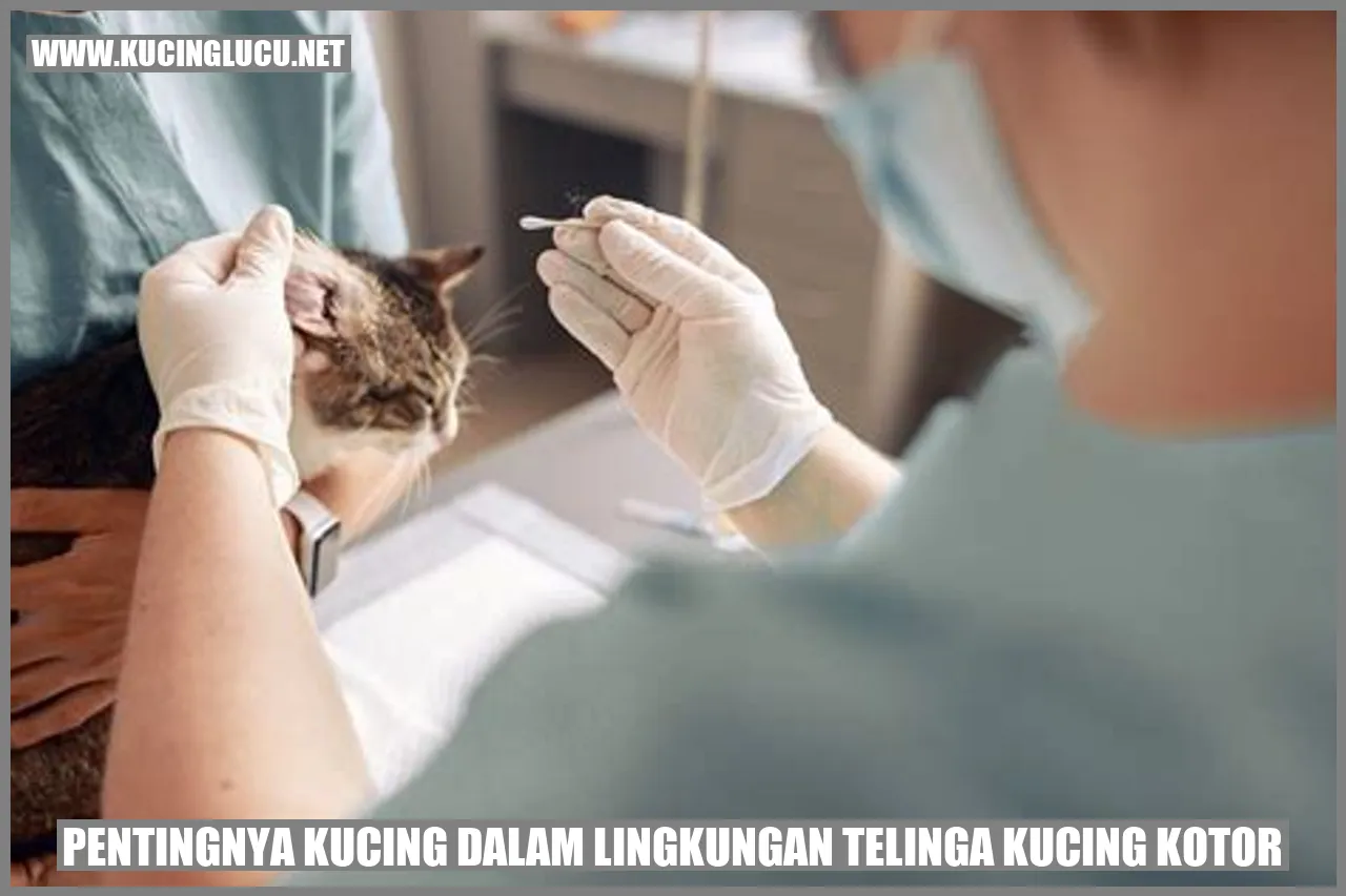 Kucing yang bersih dan sehat
