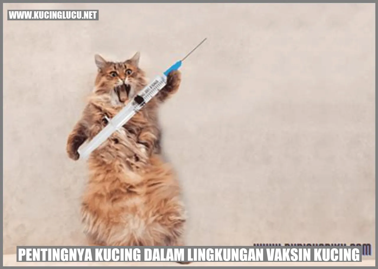 Ilustrasi vaksinasi kucing