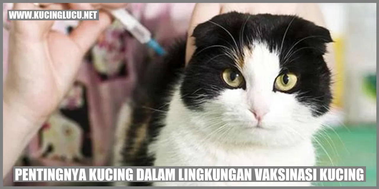 Gambar Kucing