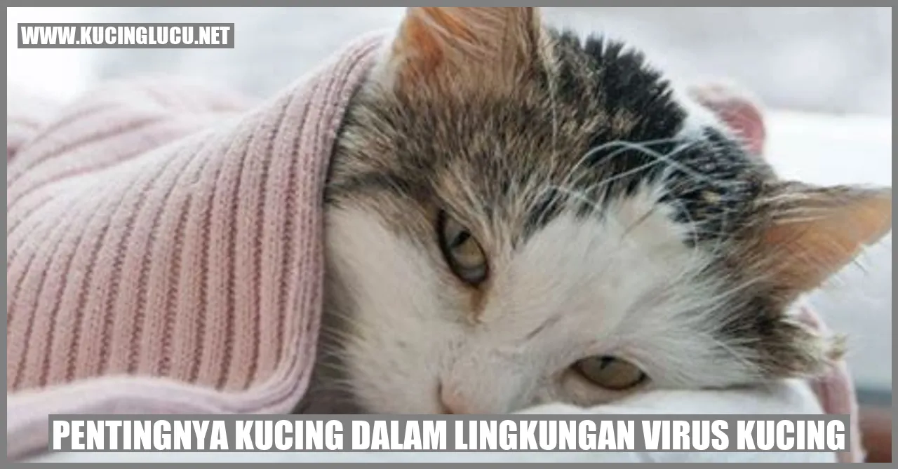Foto seekor kucing yang menggemaskan