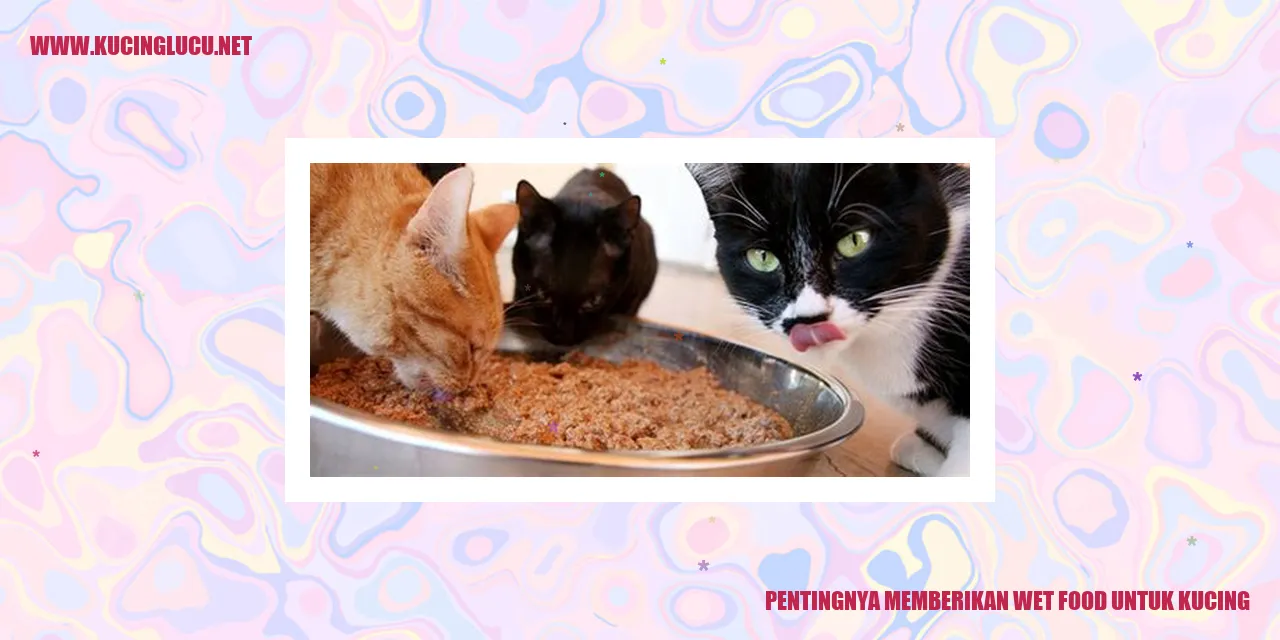 Pentingnya Memberikan Wet Food untuk Kucing