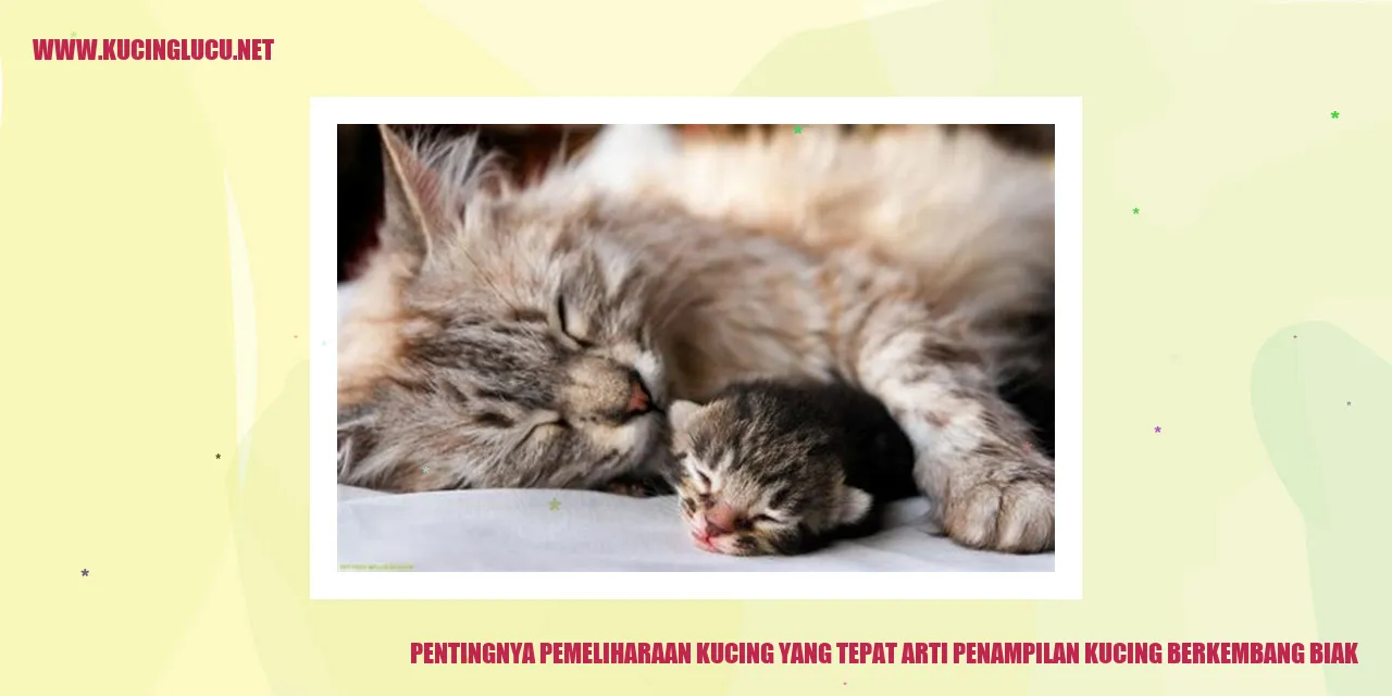 Pentingnya Pemeliharaan Kucing yang Tepat arti penampilan kucing berkembang biak