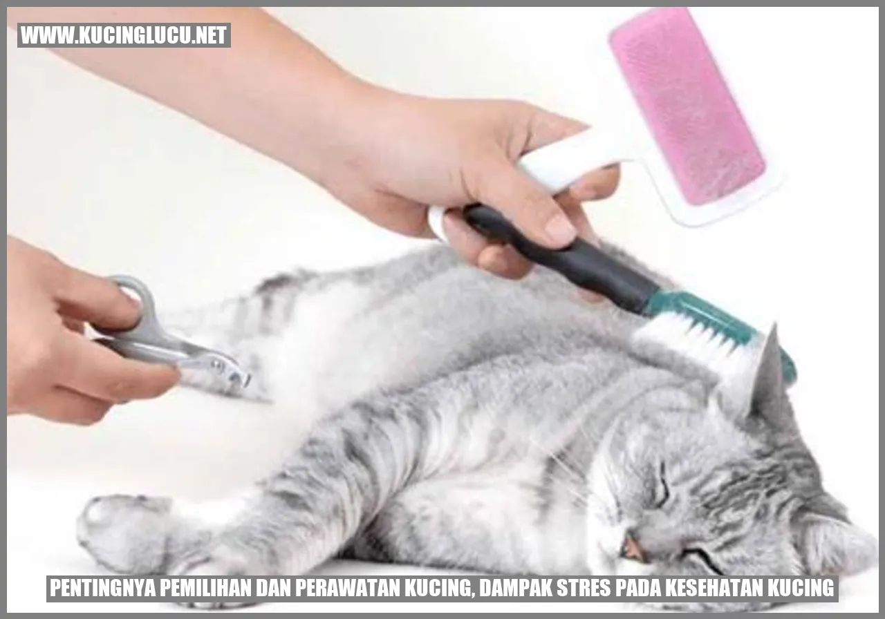 Kucing yang Mengalami Stres