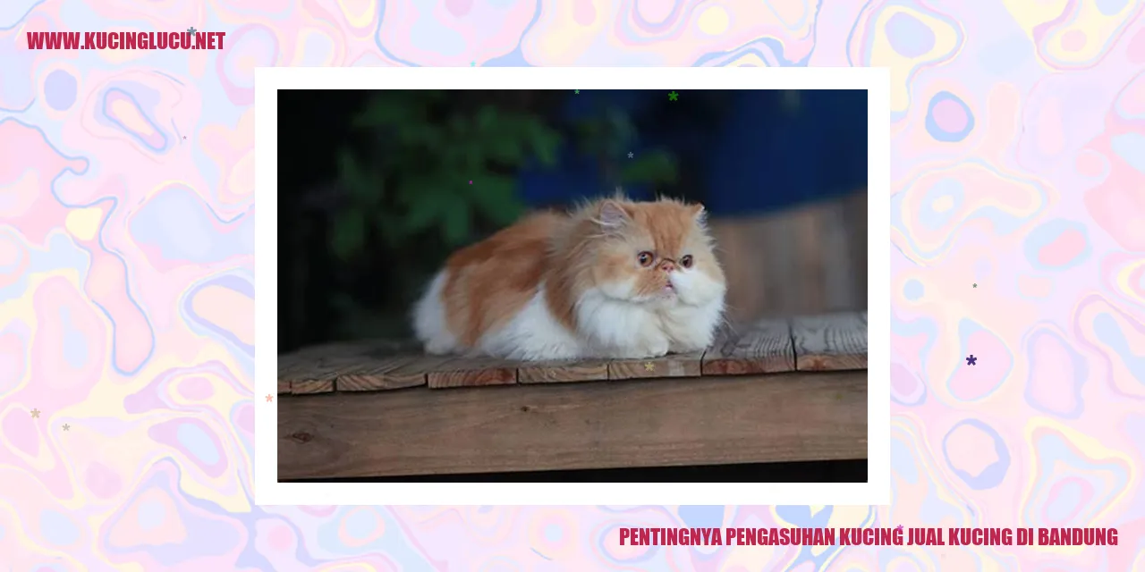 Kucing yang Bahagia