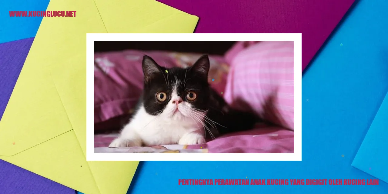 Gambar kucing