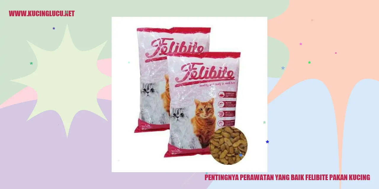 Perawatan Kucing yang Baik dengan Felibite Pakan Kucing