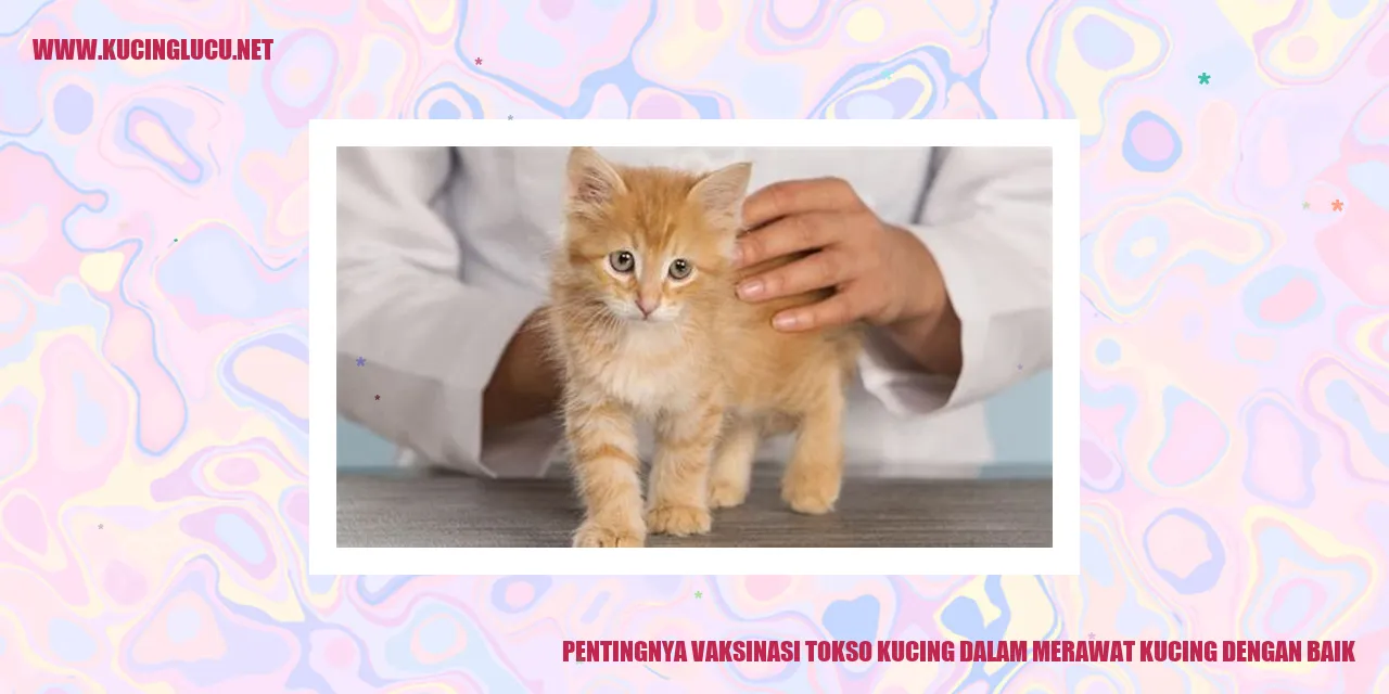 Pentingnya Vaksinasi Tokso Kucing dalam Merawat Kucing dengan Baik