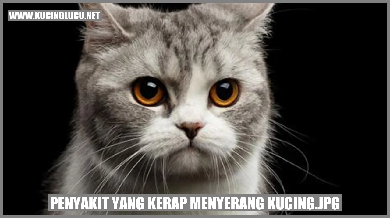 Gambar Kucing