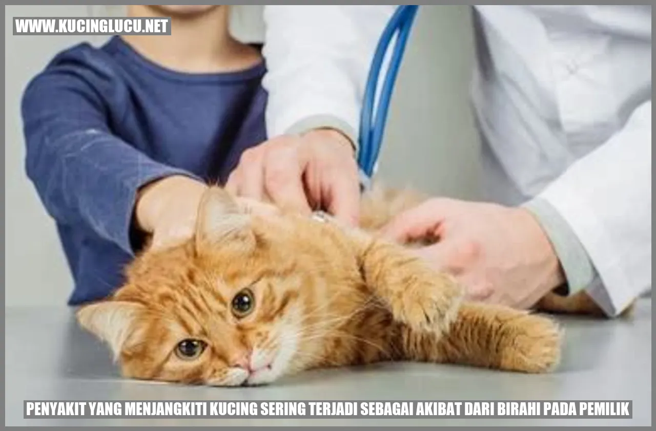 gambar kucing