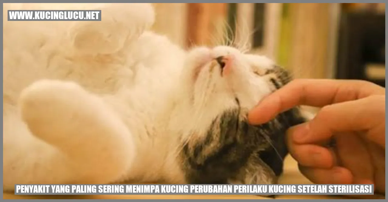 Ilustrasi Kucing