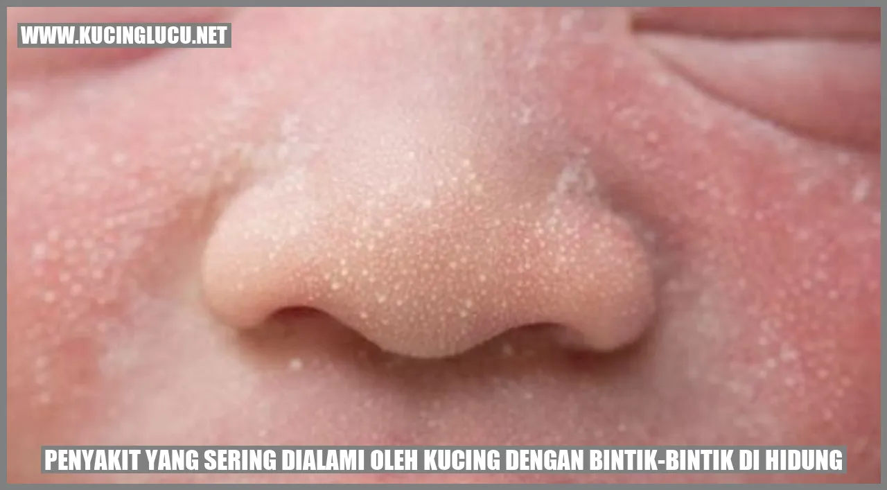 Gambar Kucing dengan Bintik-Bintik di Hidung