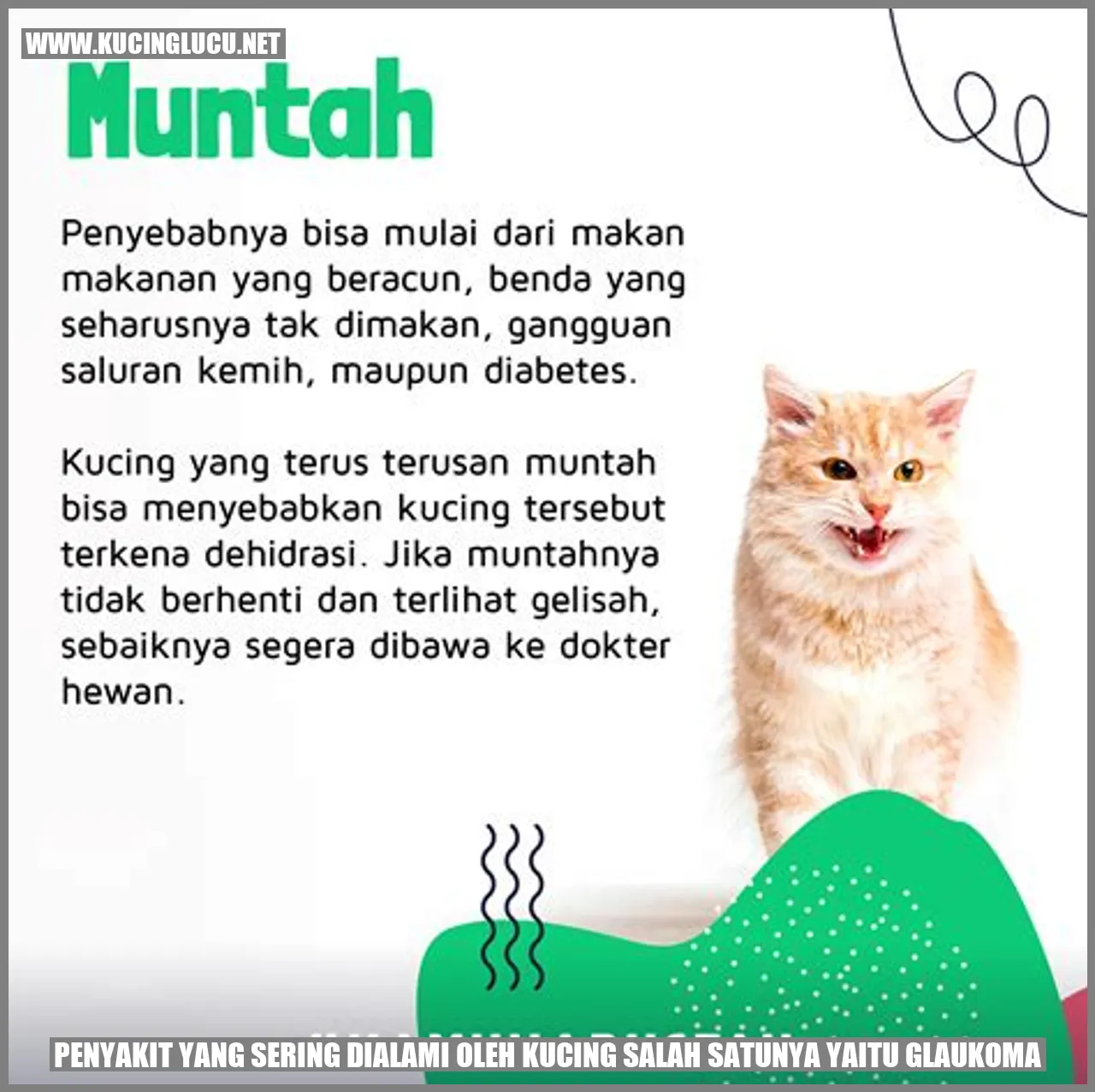 Gambar Kucing dengan Glaukoma