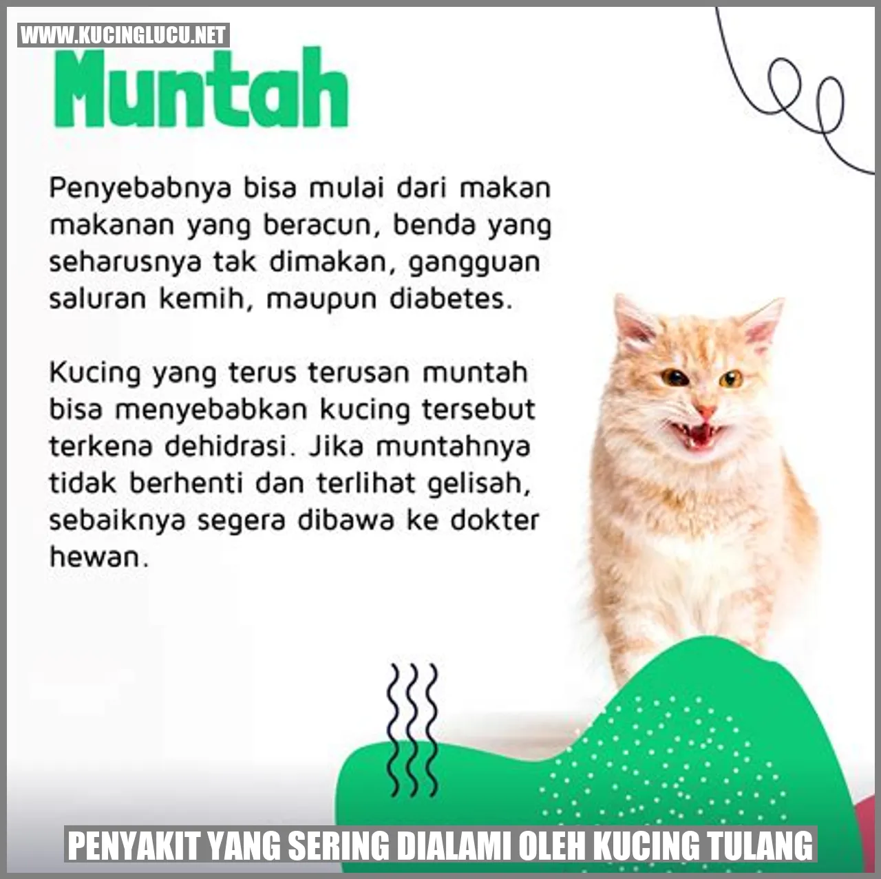 Gambar kucing yang tersenyum