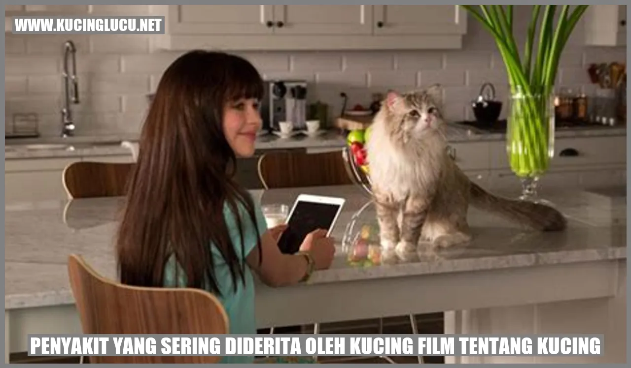 Penyakit yang Biasa Diderita oleh Kucing