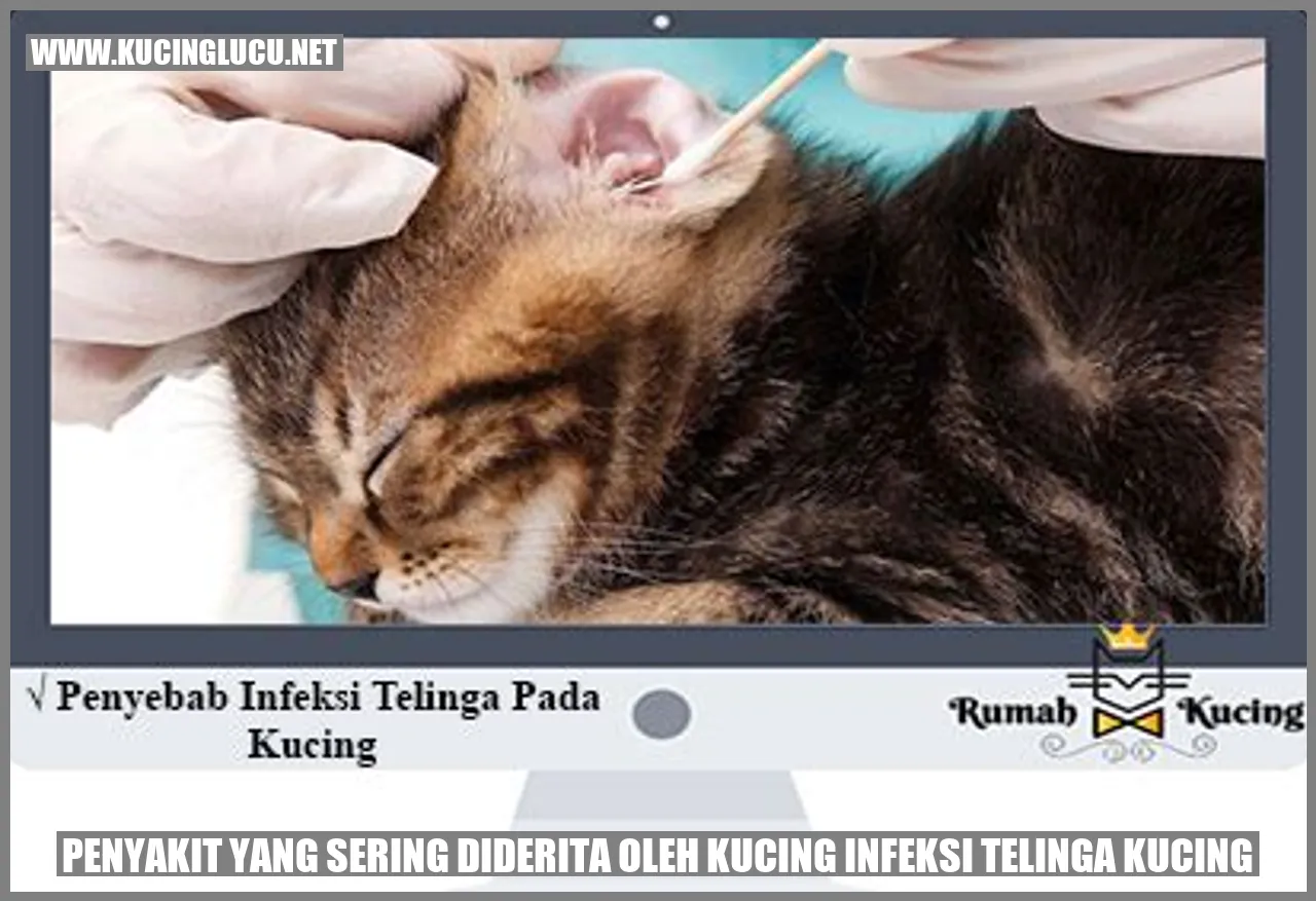 gambar telinga kucing
