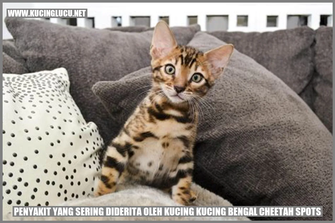 Gambar Kucing Bengal Cheetah Spots