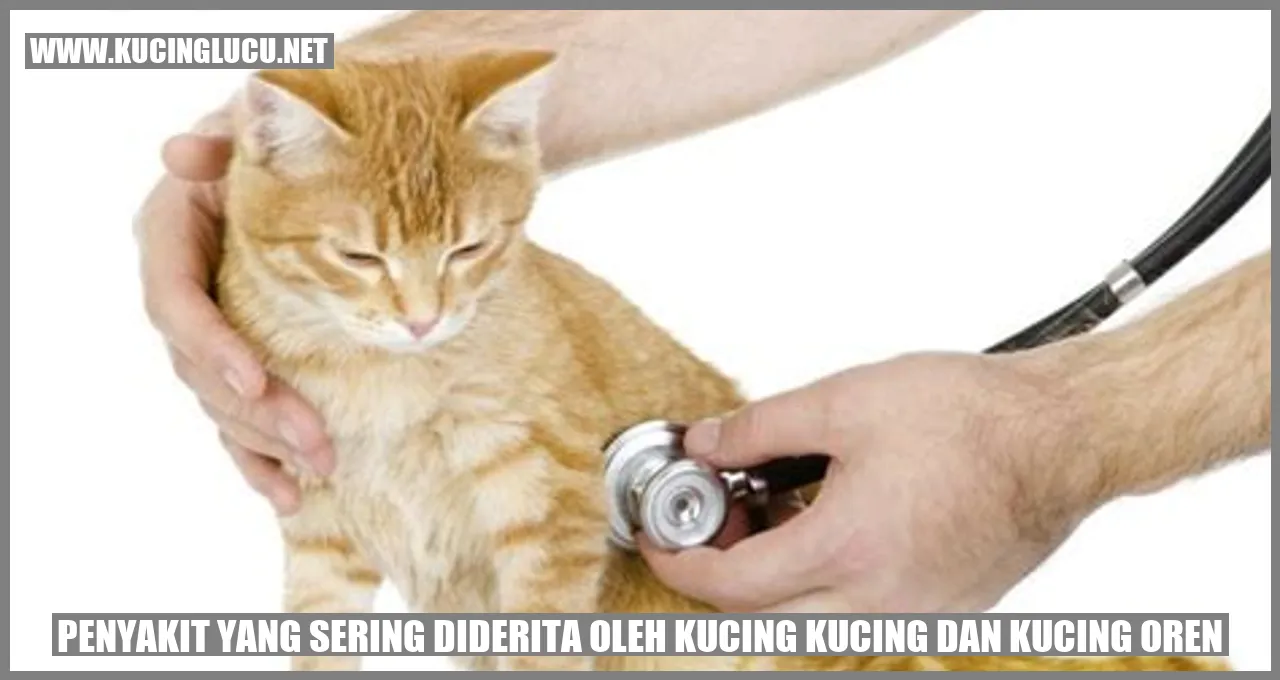 Penyakit Kucing