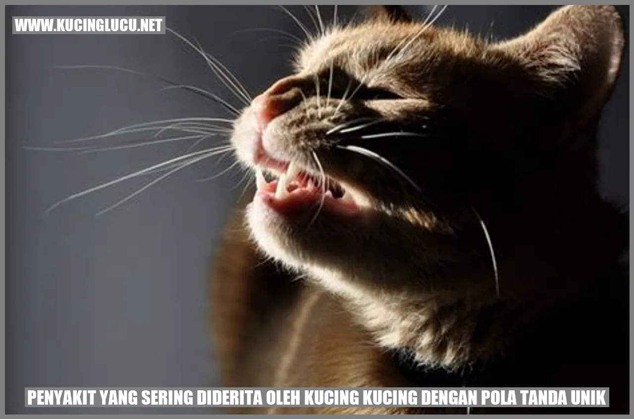 Kucing dengan Pola Tanda Unik