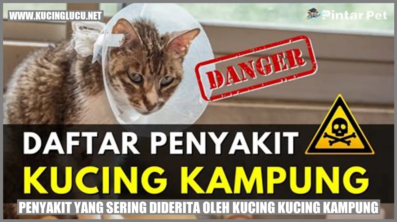 Gambar kucing