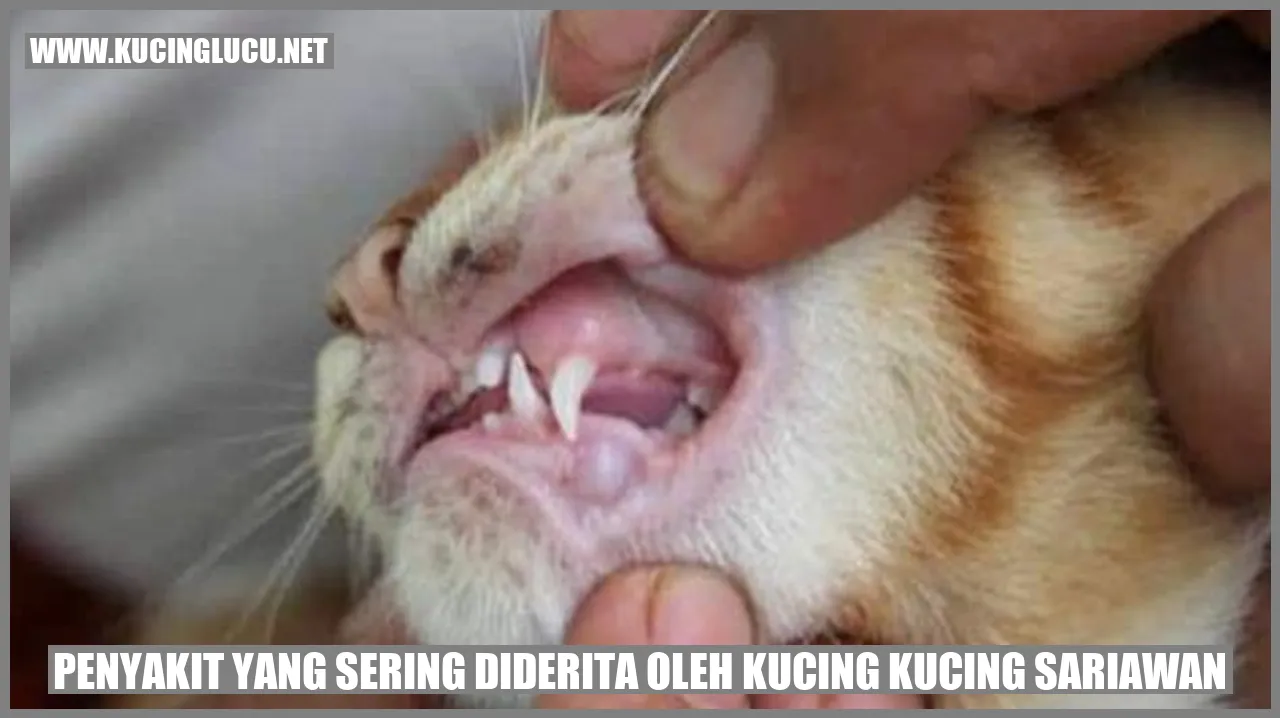 Kucing Sariawan