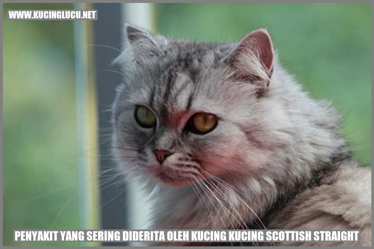 Scottish Straight
