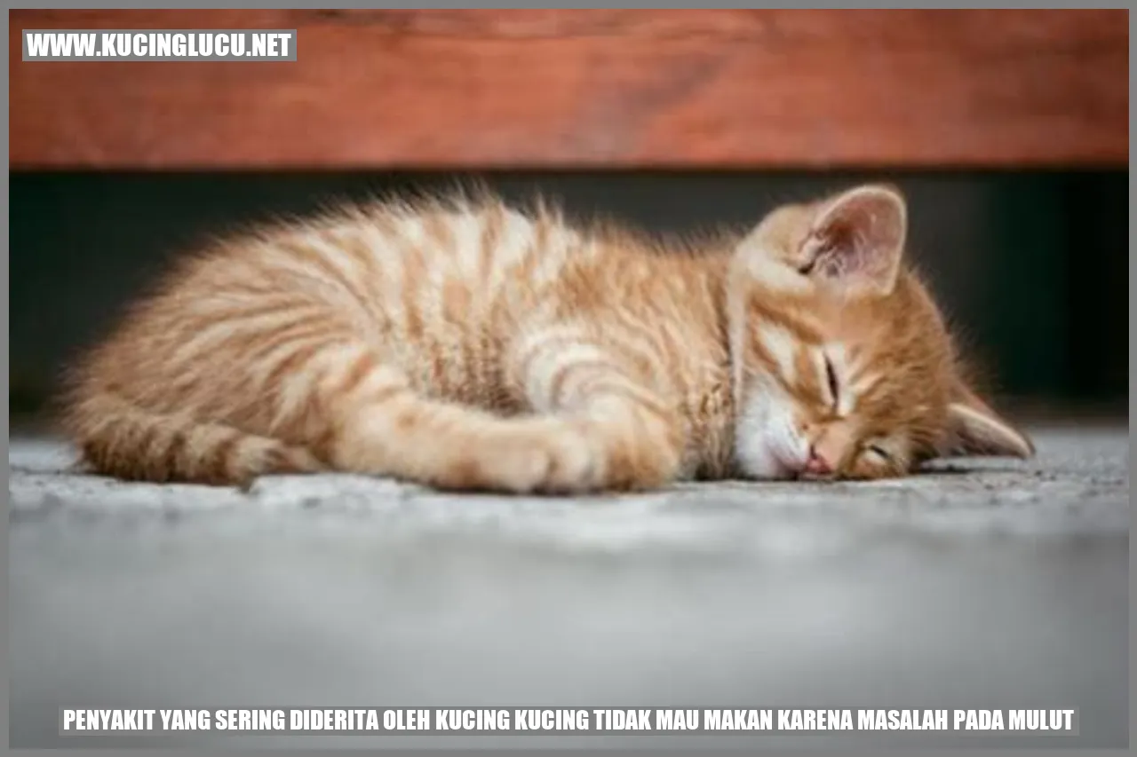 Penyakit yang Sering Terjadi pada Kucing: Kucing Enggan Makan karena Gangguan pada Mulutnya