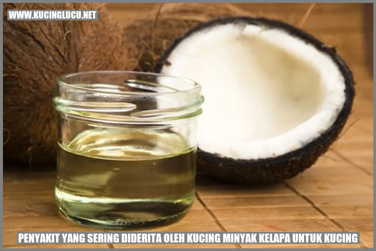 Manfaat Minyak Kelapa untuk Kucing