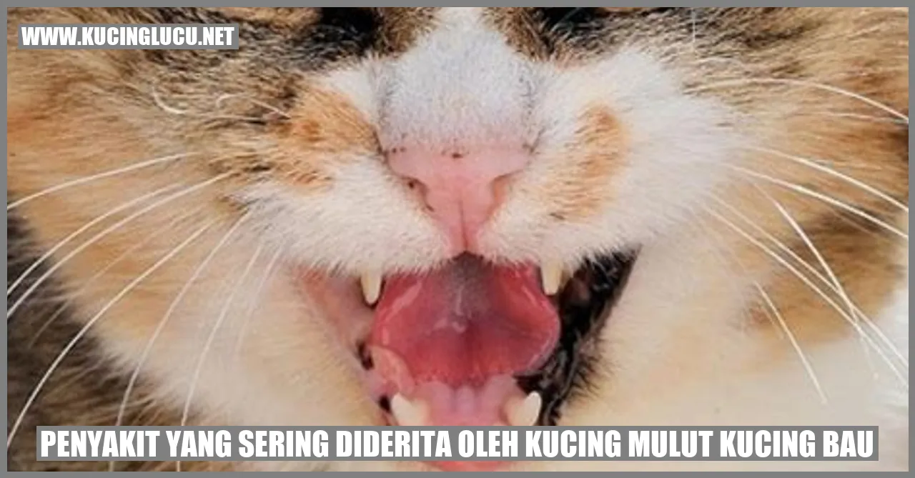 Mulut Kucing Bau