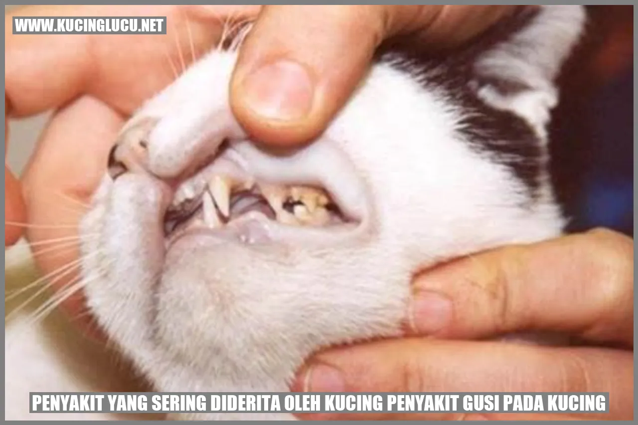 Masalah Kesehatan pada Gusi Kucing