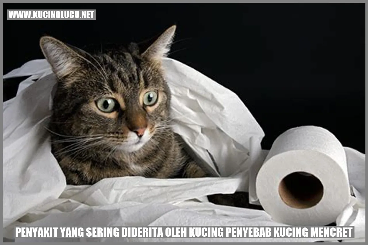 Ilustrasi Kucing