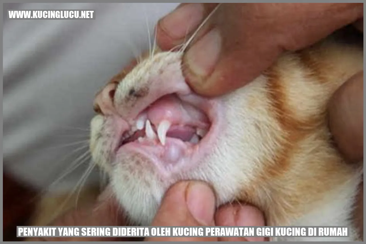 Kucing yang Sehat dengan Gigi Bersih