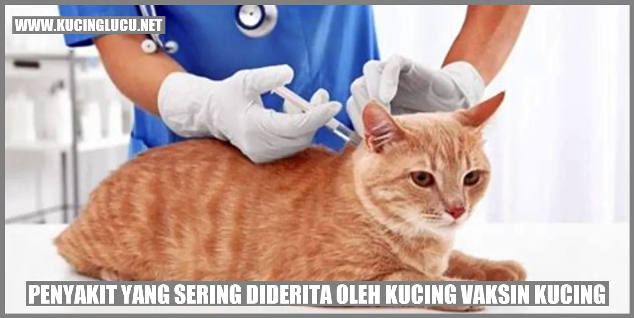 Penyakit yang Sering Diderita oleh Kucing