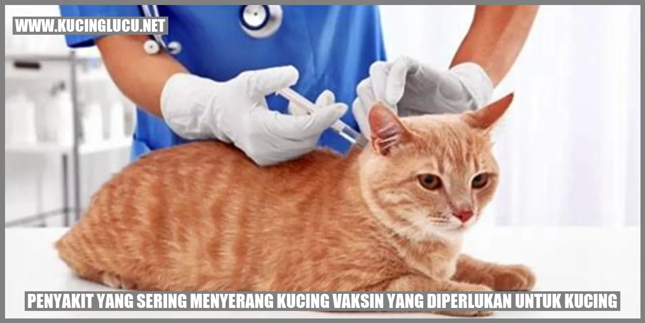 Penyakit yang Sering Menyerang Kucing