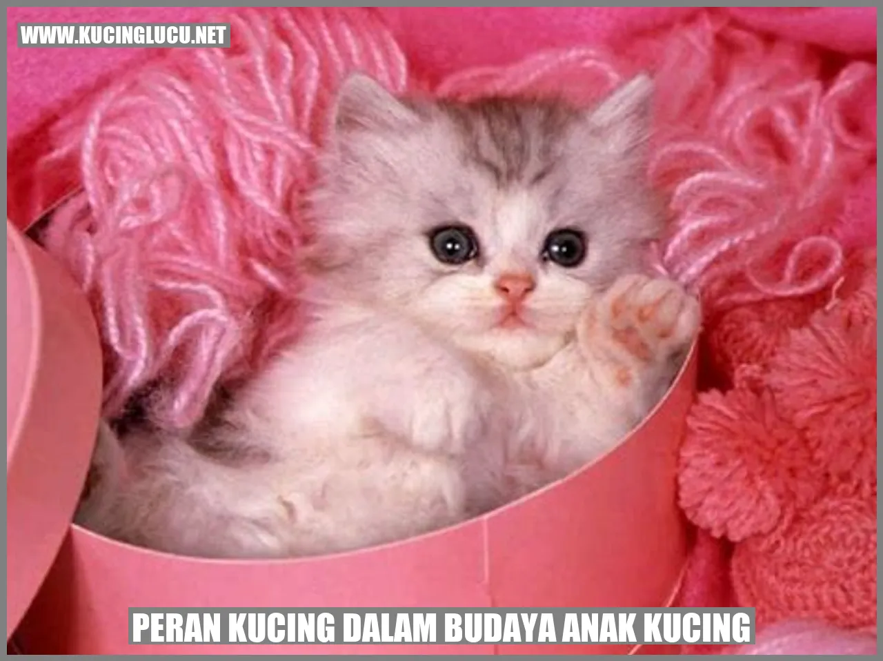 Kucing dalam budaya anak kucing