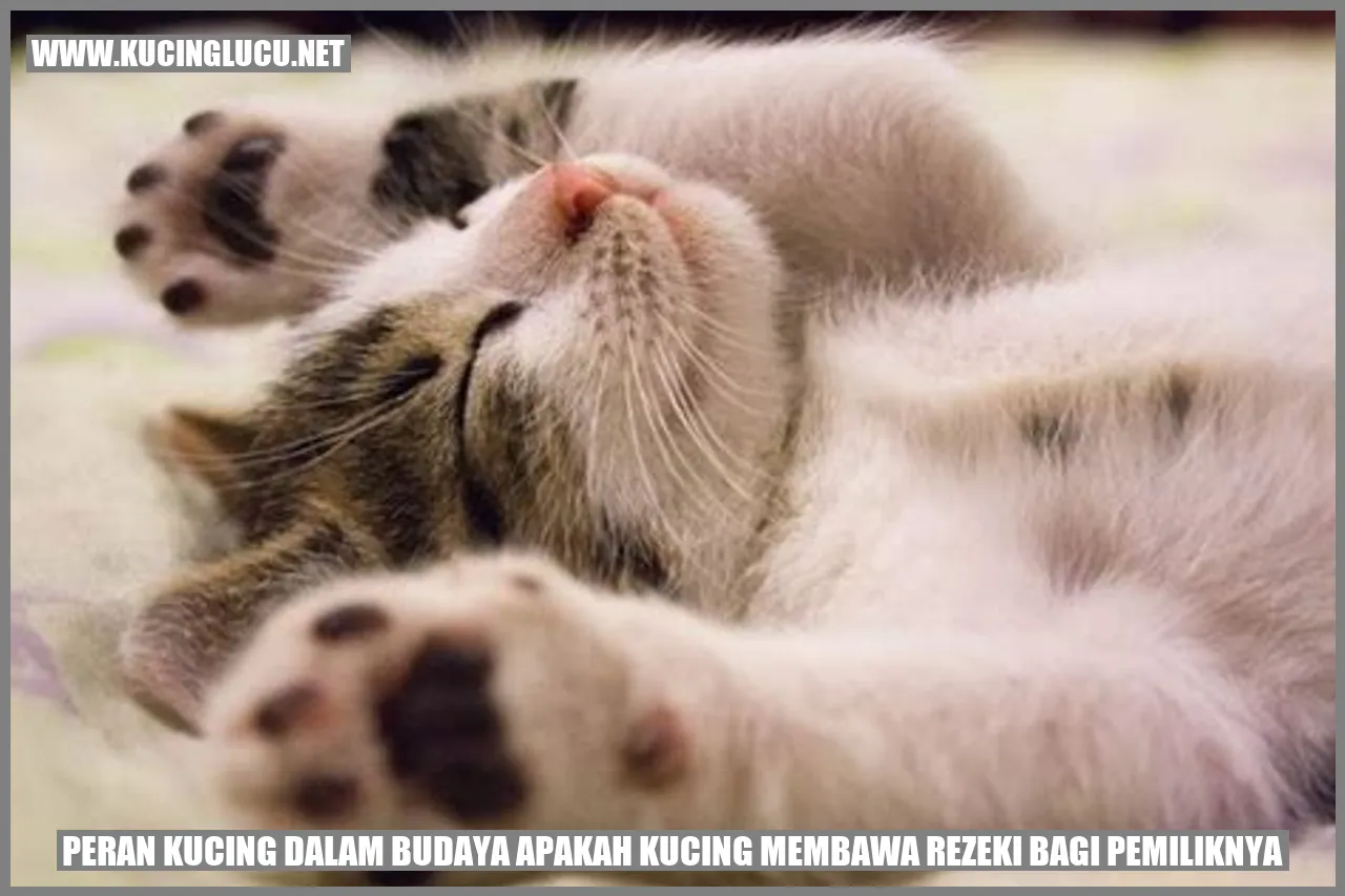 Peran Kucing dalam Budaya