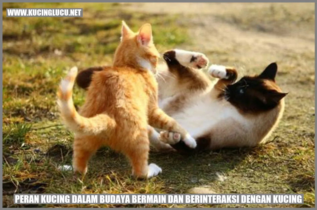 Peran Kucing dalam Budaya bermain dan berinteraksi dengan kucing