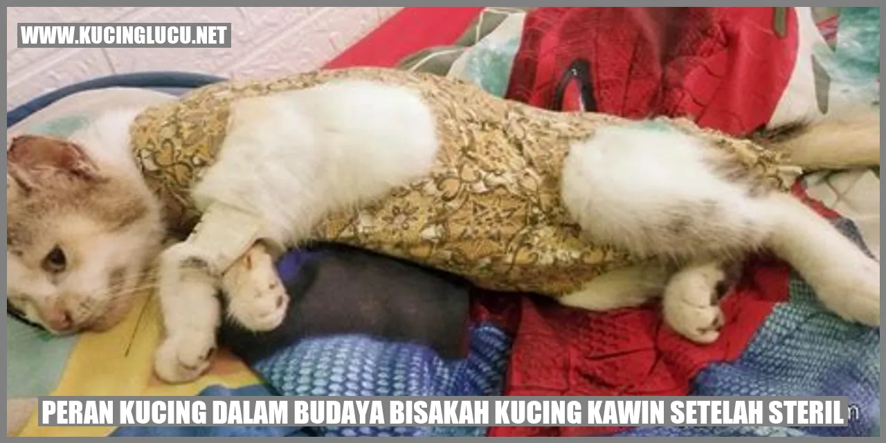 Peran Kucing dalam Budaya