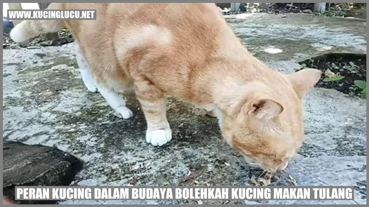 Peran Kucing dalam Budaya