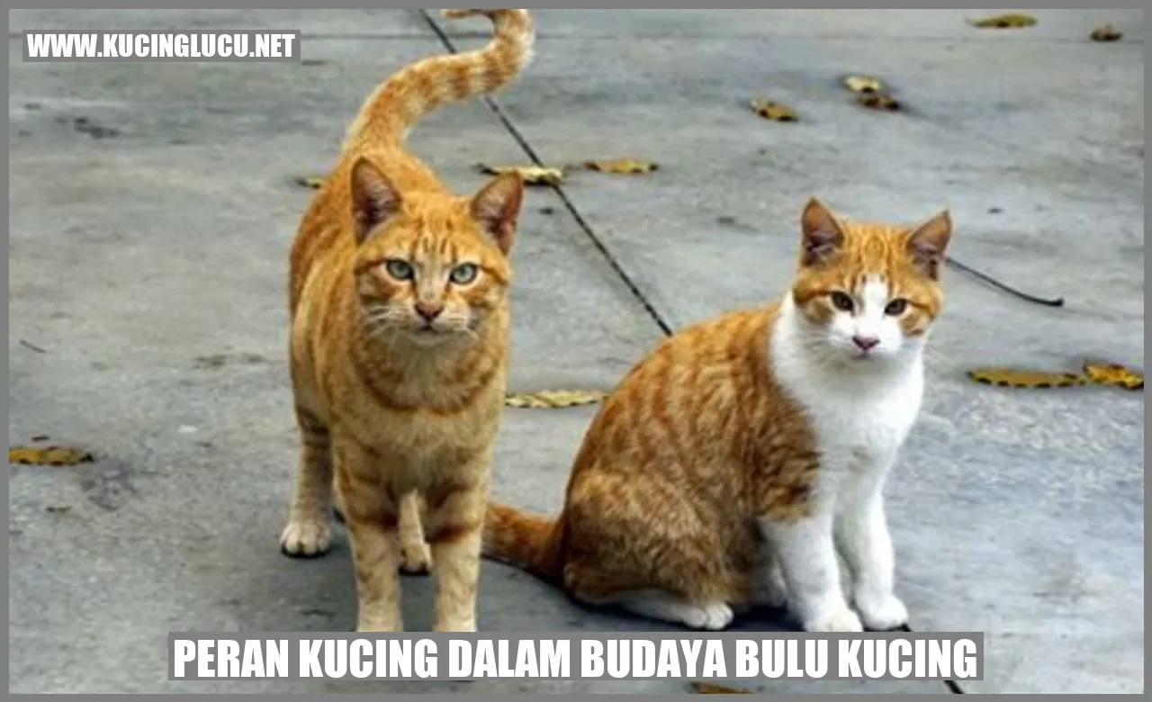 Peran Kucing dalam Budaya Bulu Kucing