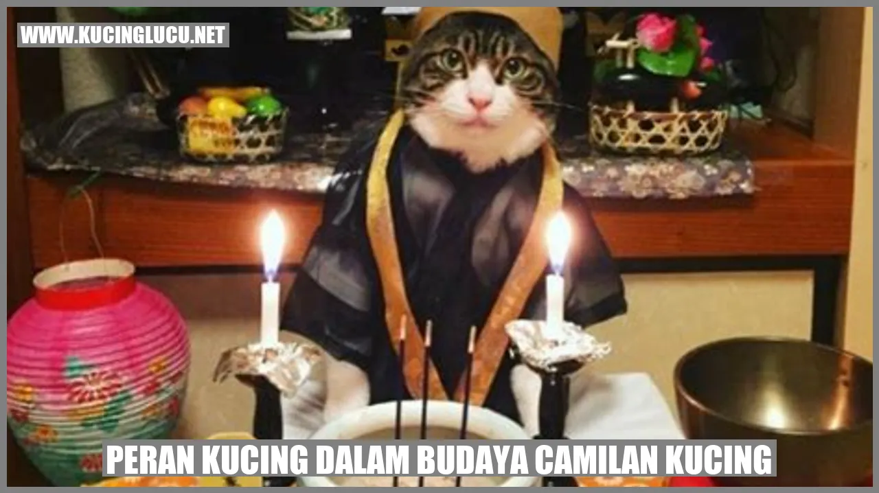 Gambar kucing bersama camilan kucing