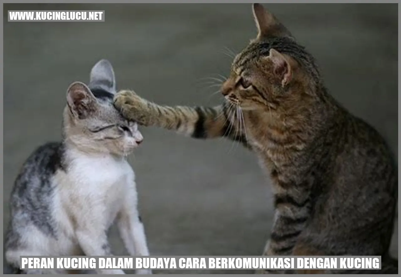 Peran Kucing dalam Budaya cara berkomunikasi dengan kucing