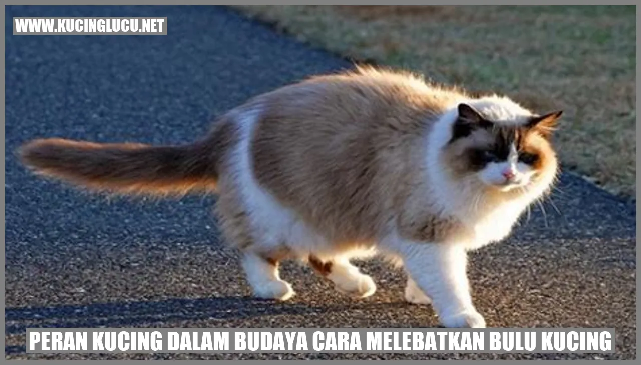 Peran Kucing dalam Budaya cara melebatkan bulu kucing