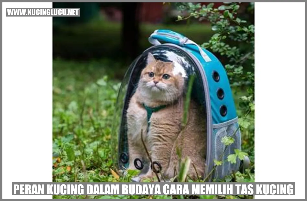 Gambar Kucing Menggemaskan