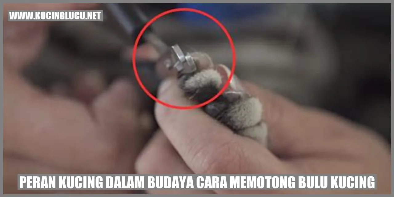 Peran Kucing dalam Budaya Cara Memotong Bulu Kucing