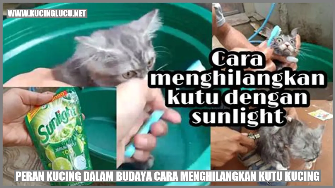 Kucing Menghilangkan Kutu Kucing