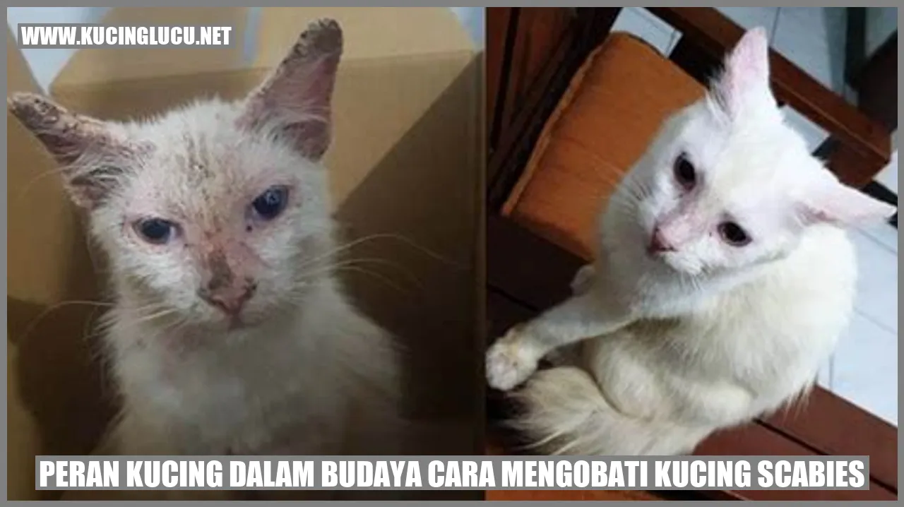 Peran Kucing dalam Budaya cara mengobati kucing scabies