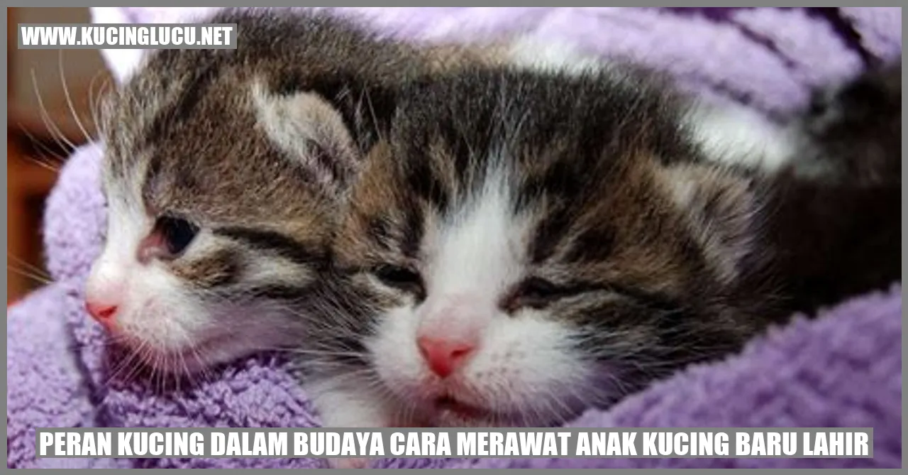 Peran Kucing dalam Budaya cara merawat anak kucing baru lahir