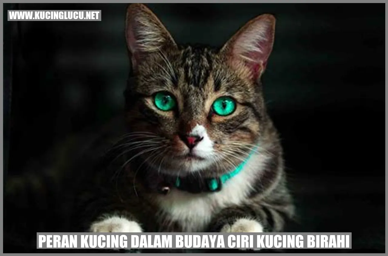 Peran Kucing dalam Budaya